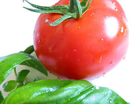 Tomate Basilikum